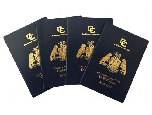 圣基茨护照移民中介哪家？三步锁定靠谱机构，避开90%的坑